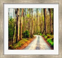 Framed Wood Path