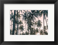 Framed Palms View on Pink Sky I