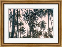 Framed Palms View on Pink Sky I