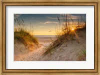Framed Coastal Dunes