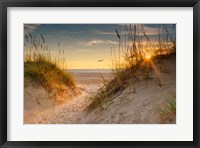 Framed Coastal Dunes