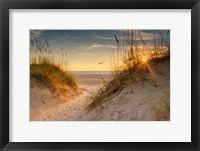 Framed Coastal Dunes