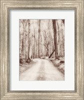 Framed Road in the Woods