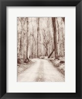 Framed Road in the Woods