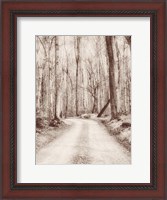 Framed Road in the Woods