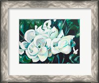 Framed Green into White Orchids