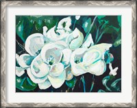 Framed Green into White Orchids