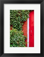 Framed Red Garden Door