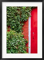 Framed Red Garden Door