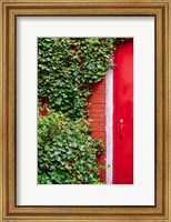 Framed Red Garden Door