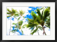 Framed Hawaii Oahu Palms