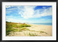 Framed Shores View