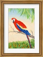 Framed Tropic Bird in Paradise I