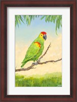 Framed Tropic Bird in Paradise II