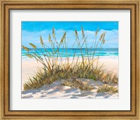 Framed Beach Grass