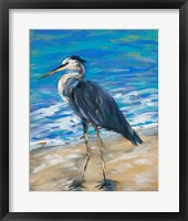 Framed Beach Bird II