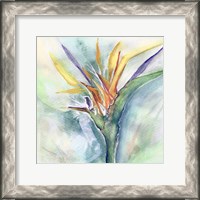 Framed Bird of Paradise I