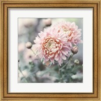 Framed Muted Daisy