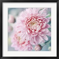 Framed Romantic Blossom