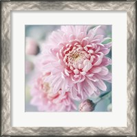 Framed Romantic Blossom