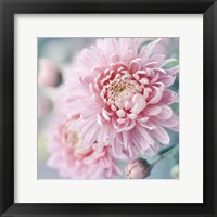 Framed Romantic Blossom