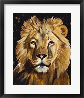 Framed Lion