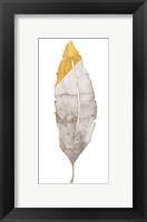 Framed Gray and Gold Feather