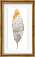 Framed Gray and Gold Feather
