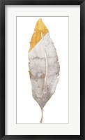 Framed Gray and Gold Feather