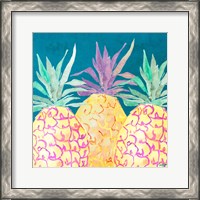 Framed Havana Pineapple