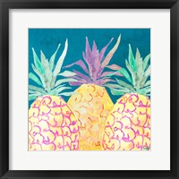 Framed Havana Pineapple