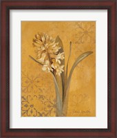 Framed Hyacinth I