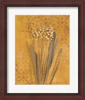 Framed Hyacinth II