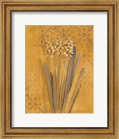 Framed Hyacinth II