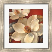 Framed 'Magnolia Passion I' border=
