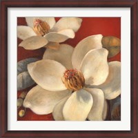 Framed Magnolia Passion I