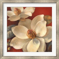 Framed Magnolia Passion I