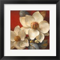 Framed Magnolia Passion II