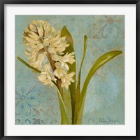 Framed Hyacinth on Teal I