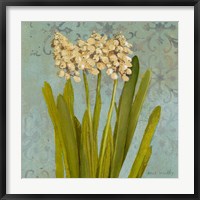 Framed Hyacinth on Teal II