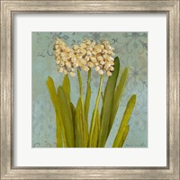 Framed Hyacinth on Teal II