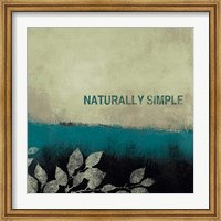 Framed Naturally Simple
