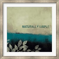 Framed Naturally Simple