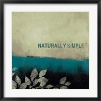 Framed Naturally Simple