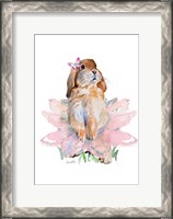 Framed Ballet Bunny III