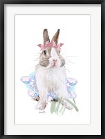 Framed Ballet Bunny IV