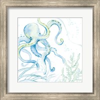 Framed 'Blue Octopus' border=