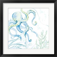 Framed 'Blue Octopus' border=