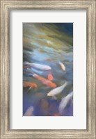 Framed Koi Pool II