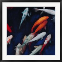 Framed Koi